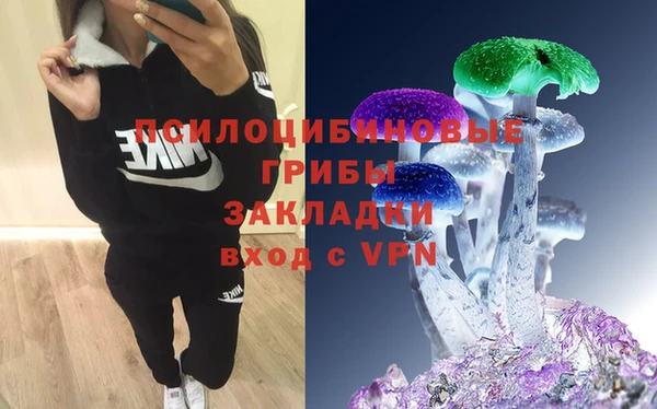 дживик Майский