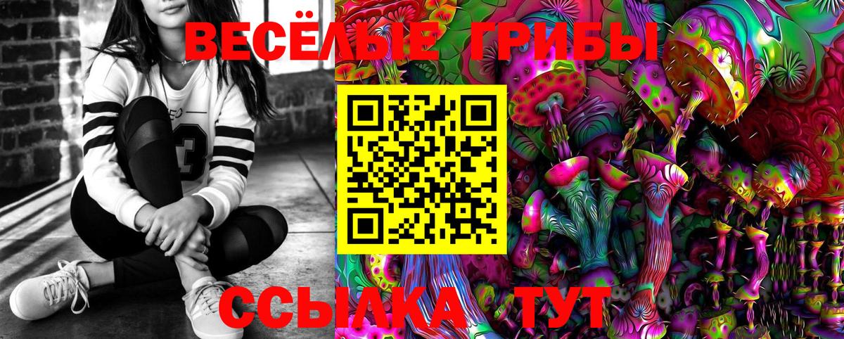 Галлюциногенные грибы MAGIC MUSHROOMS  Псилоцибиновые грибы мухоморы  Минеральные Воды 