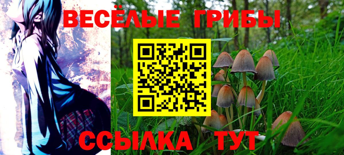 Псилоцибиновые грибы Cubensis Минеральные Воды