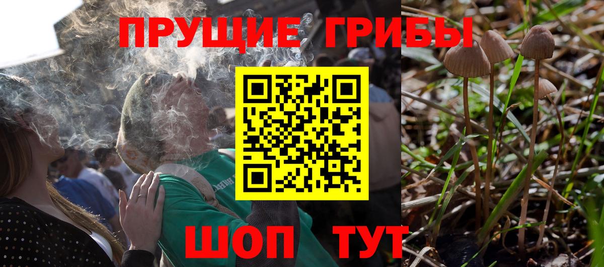 Минеральные Воды  Псилоцибиновые грибы Psilocybine cubensis  Вход с VPN 